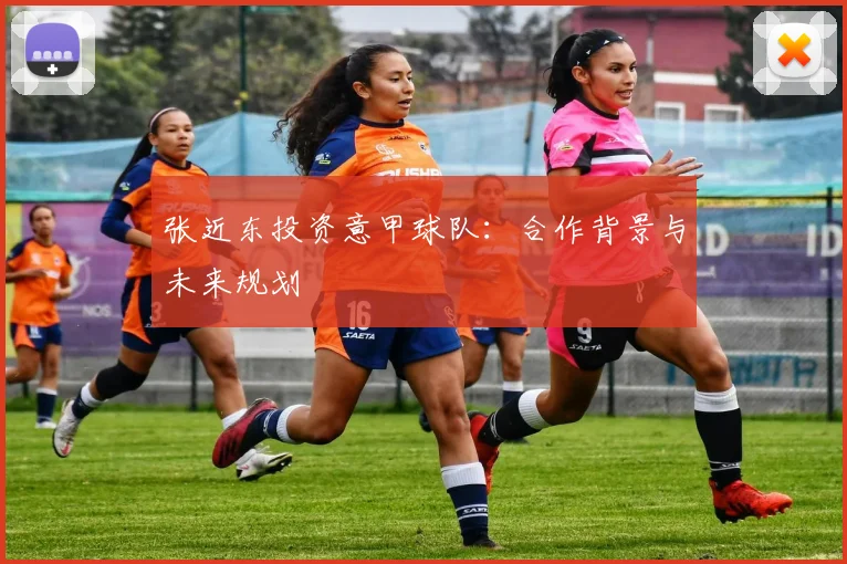 张近东投资意甲球队:合作背景与未来规划