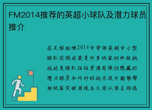FM2014推荐的英超小球队及潜力球员推介