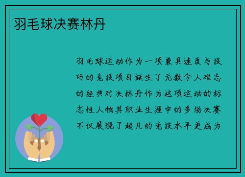 羽毛球决赛林丹