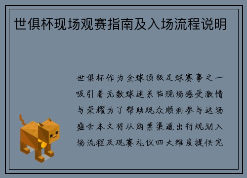 世俱杯现场观赛指南及入场流程说明